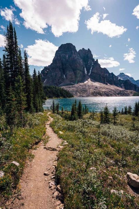 Hiking In Canada, Pct Hike, Canada Hikes, Hiking Vancouver, Banff Hikes, Bc Mountains, Hiking Canada, Mount Assiniboine, Banff Hiking