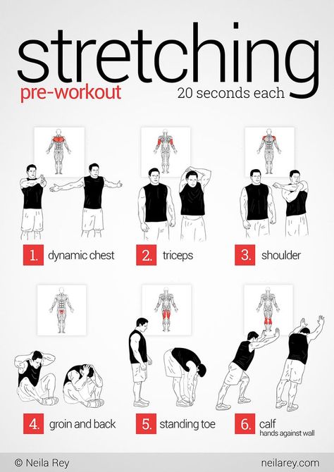 pre-workout stretching. arm stretches Stretches Before Running, Pre Workout Stretches, Resep Diet, Workout Chart, Stretching Exercises, Pre Workout, Yoga Stretches, Yoga Sequences, Health Blog