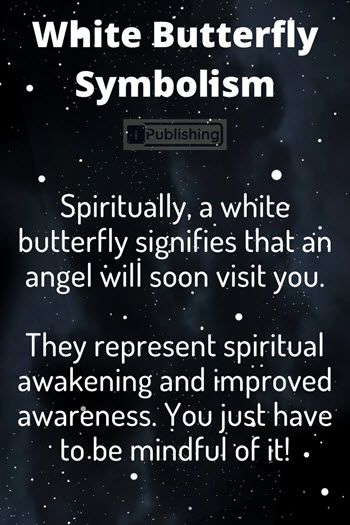 What Does It Mean When You See A White Butterfly - Spiritual Symbolism - iPublishing White Butterfly Symbolism Meaning, White Butterfly Symbolism, White Butterfly Spiritual Meaning, White Butterfly Meaning, Butterfly Spiritual, Butterfly Symbolism, Butterfly Meaning, Totem Animals, White Butterflies