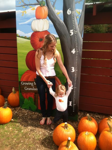 How tall are you this fall How Tall This Fall Sign, How Tall This Fall, Pumpkin Parable, Pumpkin Patch Activities, Fall Festival Decorations, Fall Festival Games, Fall Feast, Fall Minis, Fall Backdrops