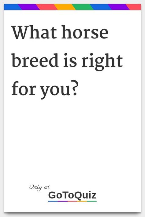 "What horse breed is right for you?" My result: Warmblood Percy Jackson Quiz, Boyfriend Test, Jake Short, Boyfriend Quiz, Aesthetic Quiz, Color Quiz, Villain Quote, Types Of Boyfriends, Short Quiz