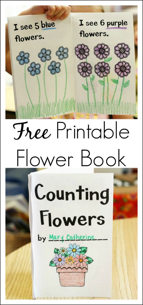 Free Counting Flowers Printable Book Perfect for Spring Spring Lesson Plans, Spring Preschool Activities, Spring Lessons, Preschool Garden, Spring Kindergarten, Preschool Spring, Spring Math, Spring School, Flowers Printable