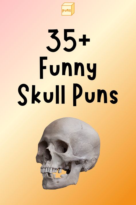 Your skull supports your facial muscles and protects your brain. Whether learning about it or a fan, read funny skull puns for a laugh. Skull Quotes Funny, Skeleton Sayings Funny, Funny Halloween Skeleton Sayings, Skeleton Puns Halloween, Funny Skeleton Quotes, Skeleton Captions, Skeleton Sayings, Skull Sayings, Brain Puns