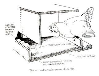 pile of o'melays: chicken coop Raising Turkeys, Chicken Barn, Chicken Nesting Boxes, Diy Chicken Coop Plans, Chickens And Ducks, Chicken Coop Designs, Chicken Coop Ideas, Keeping Chickens, Building A Chicken Coop