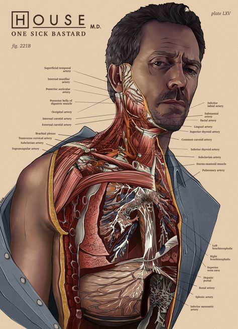 Md Fanart, Greg House, House Md Funny, House And Wilson, Robert Sean Leonard, Gregory House, Sean Leonard, House Arrest, House Md