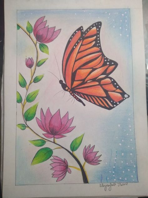 Butterfly Front Page Design, Beginner Photographer, Butterfly Sketch, Flower Pattern Drawing, Bond Paper Design, Design Art Drawing, Easy Love Drawings, Art Painting Tools, Pen Art Drawings