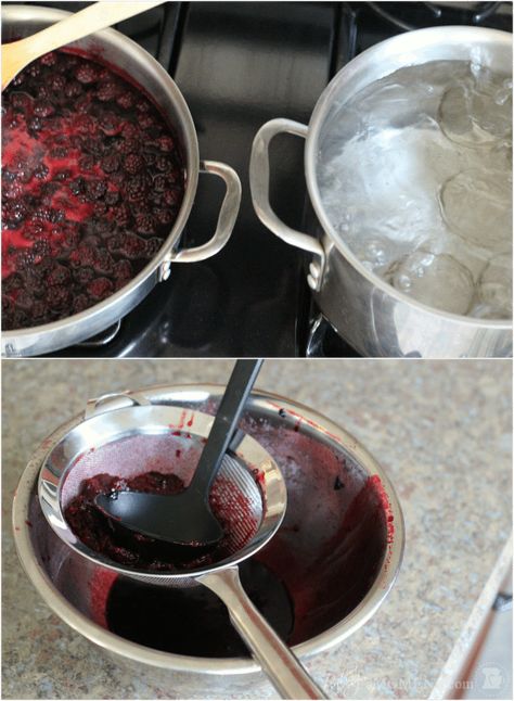 DeSeeding Blackberries Blackberry Jam No Pectin, Seedless Blackberry Jam, Pectin Recipes, Fruit Jam Recipes, Blackberry Jam Recipes, Canning And Preserving, Grape Jam, Canning Jam, Homemade Jelly