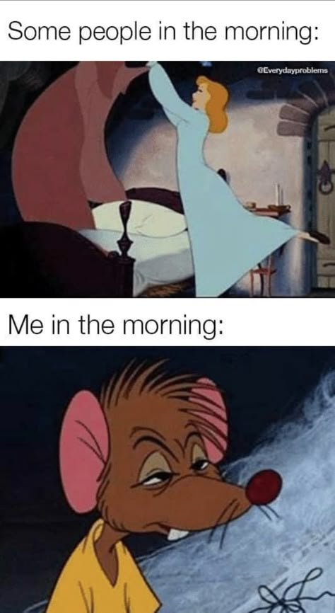 Funny Anime Pfp, Me In The Morning, Funny Day Quotes, Disney Quotes Funny, Funny Disney Memes, Funny Cartoons Jokes, Funny Disney Jokes, Funny Pix, Funny Animal Photos