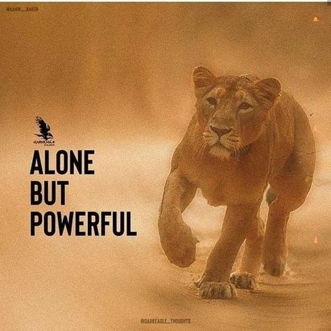 Lioness Quotes, Lion Motivation, Make Money Easy, Parenting Lessons, Leo Woman, Power Woman, Leo Quotes, Lion Quotes, Inspirational Life Lessons