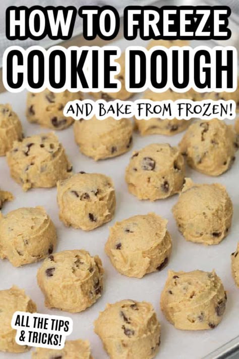 Freezable Cookie Dough, Freezing Cookie Dough, Freezer Cookie Dough, Recipes To Freeze, Freeze Cookies, Freeze Cookie Dough, Freezable Cookies, Christmas Cookie Dough, Freezer Cookies