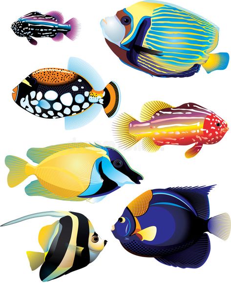 Fish Paper Craft, Beautiful Tropical Fish, Taboo Tattoo, Bawah Air, Fish Breeding, Jellyfish Art, Fish Vector, Watercolor Fish, Fish Stock