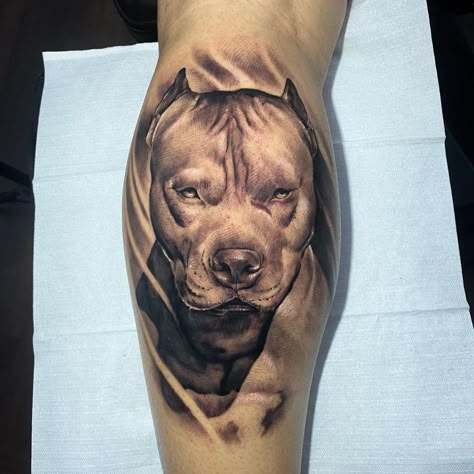 Apocalypse Tattoo, Dog Portrait Tattoo, Pitbull Tattoo, Bulldog Tattoo, Dog Memorial Tattoos, Dog Paw Tattoo, Pitbull Art, Chicano Style Tattoo, Paw Tattoo