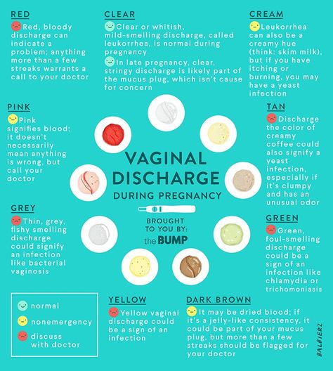 Mucus Plug, Cervical Mucus, Early Pregnancy Signs, Early Pregnancy, Creamy Coffee, Feminine Health, Pregnancy Signs, Pregnancy Health, Healthy Pregnancy