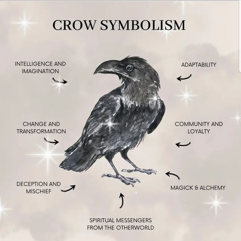 Crow Symbol, Crow Symbolism, Crow Queen, Raven Magic, Crow Spirit Animal, Crow Core, Crow Aesthetic, Raven Aesthetic, Raven Witch