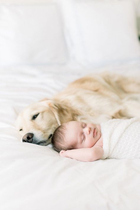 Newborn Overall Pictures, Lifestyle Newborn Photography With Dog, Newborn With Dog Photography, Newborn Family Photos With Dog, Dog And Baby Pictures, Newborn And Dog Photography, Newborn Photography With Dog, Newborn With Dog, Newborn And Dog