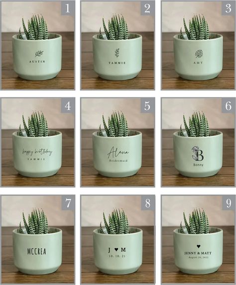 Cricut Succulents, Succulent Souvenir Ideas, Succulent Pots Cricut, Party Favor Succulents, Succulent Doorgift, Succulent Gifts, Mini Succulents, Small Succulents, Succulents Diy