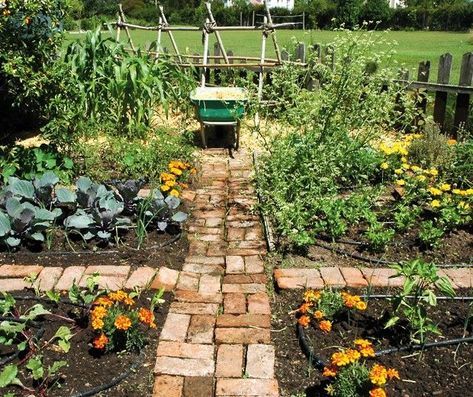 Brick Path In Garden, Vegetable Garden Path Ideas, Brick Vegetable Garden, Allotment Path Ideas, Allotment Paths, Brick Garden Path, Brick Path, Allotment Gardening, Bohemian Garden