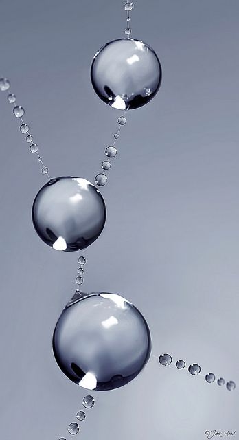 . Drip Drop, Water Photography, Water Art, Dew Drops, Macro Photos, Foto Art, Water Droplets, Rain Drops, Water Drops