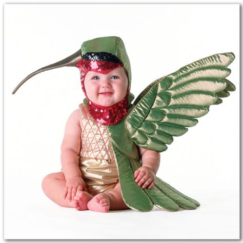 Tom Arma baby hummingbird costume. Bird Fancy Dress Costume Ideas, Kids T Birds Costume, Humming Bird Costume, Baby Bird Costume, Parott Bird Felt Toto Costume, Hummingbird Costume, Kid Bird Costume, Bird Costumes, Baby Hummingbirds