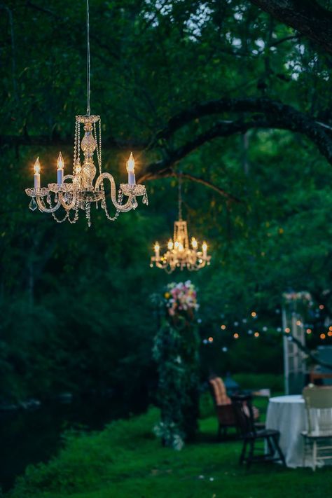 Chandelier From Tree, Vintage Chandelier Wedding, Hanging Tree Lights, Hanging Tree Decorations, Chandelier Tree, Old Chandelier, Wedding Chandelier, Outdoor Chandeliers, Outdoor Chandelier