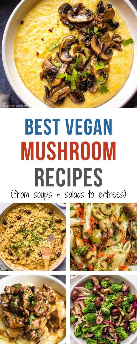 Best Vegan Mushroom Recipes, Mushroom Recipes Vegetarian Main Dishes, Mushrooms Vegan Recipes, Wfpb Mushroom Recipes, Easy Vegan Mushroom Recipes, Whole Food Plant Based Mushroom Recipes, Healthy Mushroom Dinner Recipes, Mushroom Based Recipes, Vegan Mushroom Recipes Healthy