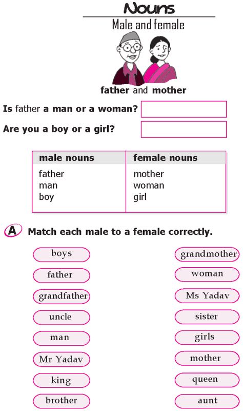 Grade 1 Grammar Lesson 8 Nouns – Male and female Class 1 English, Teaching Clipart, Worksheets For Class 1, English Grammar Exercises, English Grammar For Kids, English Worksheets For Kindergarten, Grammar For Kids, Good Grammar, English Teaching Materials