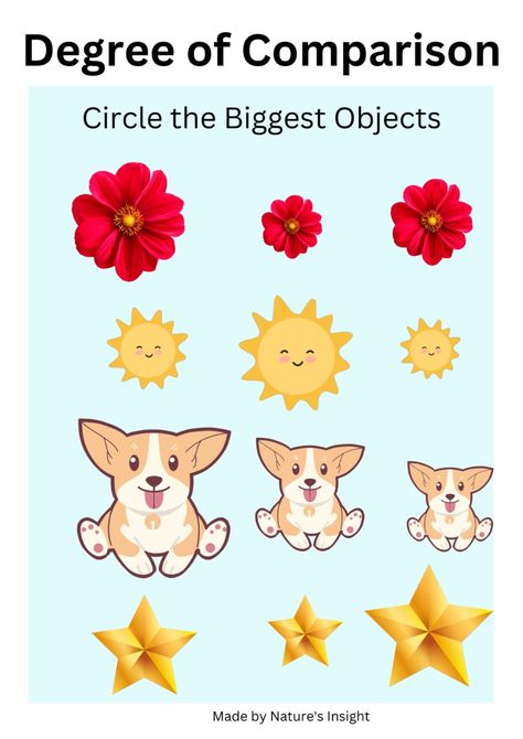 Big Bigger Biggest, Degrees Of Comparison, Shape Activities Preschool, Shapes Activities, Teaching Materials, Grade 1, Preschool Activities, 1 2 3, Preschool