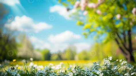 AI generated Sunny Day in Nature, Blurred Spring Background with Blooming Trees and Blue Sky Sky Blur Background, Pic Background, Home Background, Dj Photos, Photoshop Digital Background, Camera Tattoo, Nature Background Images, Portrait Background, Blur Photo Background