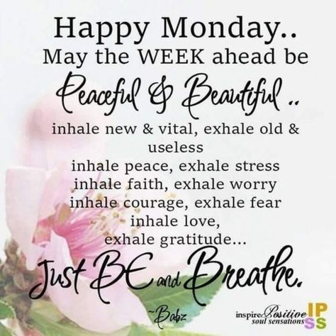 New Week Blessings, Monday Morning Blessing, Monday Inspirational Quotes, Monday Greetings, Happy Monday Morning, Today Is Monday, Happy Monday Quotes, Week Blessings, Monday Morning Quotes