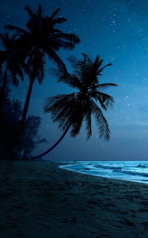 Tropical Beach At Night, Dark Tropical Aesthetic, Coco Beach Florida, Paradise Pictures, Tropical Night, Dark Beach, Island Wallpaper, Dark Wallpapers, Night Sky Photography