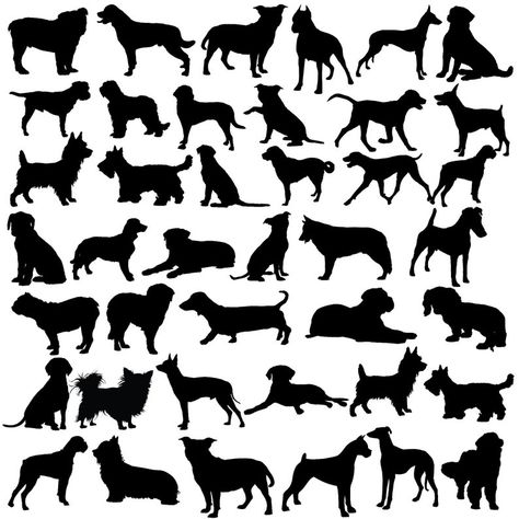 100 Dog Breed Silhouettes Black Dog Graphic Design Elements | Etsy UK Dog Graphic Design, Png Elements, Digital Graphic Design, Dog Decals, Graphic Design Elements, Silhouette Stencil, Dog Silhouette, Website Banner, Black Silhouette