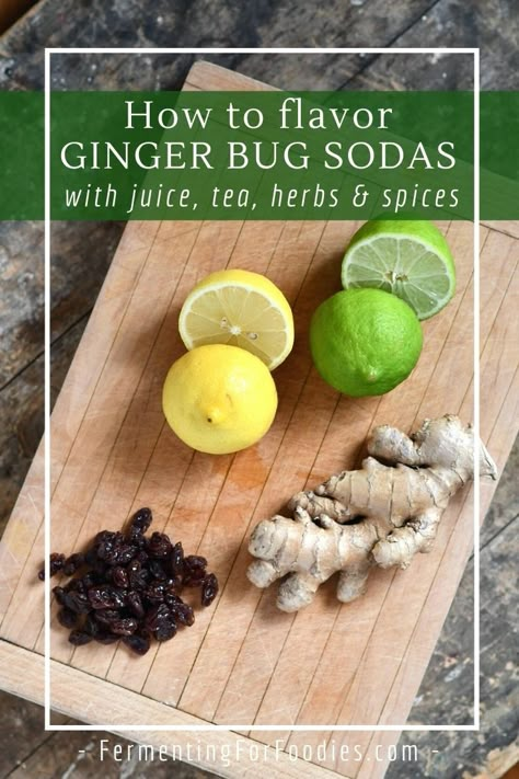 How to flavor ginger bug soda with juice, tea and spices Ginger Bug Ginger Ale, Ginger Bug Uses, Ginger Bug Recipe, Ginger Bug Soda Recipes, Wild Soda, Ginger Bug Soda, Cranberry Ginger Ale, Ginger Soda, Homemade Ginger Ale