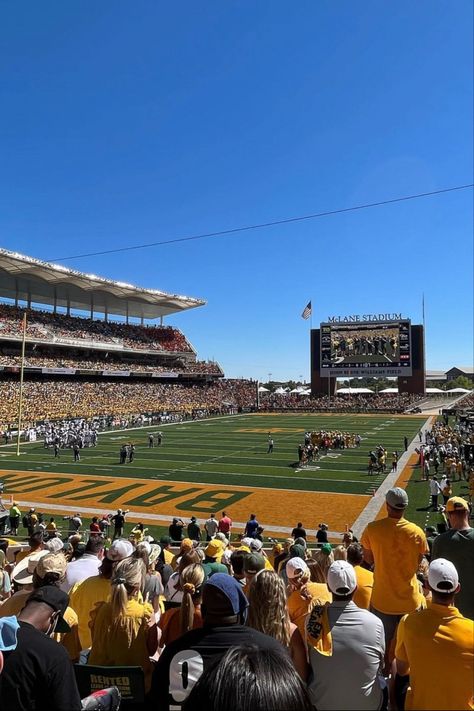 Mclane Stadium, Baylor Bear, Dolores Park, Bears, My Life, Wallpapers, Travel