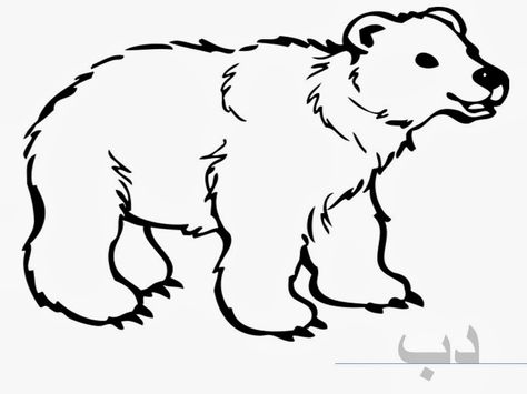 Dal"د" is for Dub ( Bear, دب). Polar Bear Coloring Page, Polar Bear Color, Teddy Bear Coloring Pages, Urs Polar, Polar Bear Art, Coloring Pages Winter, Polar Animals, Bear Drawing, Bear Coloring Pages