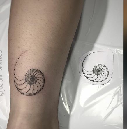 Fibonacci Shell Tattoo, Minimalistic Tattoo Ideas For Men, Spiral Shell Tattoo, Fibonacci Spiral Tattoo, Nautilus Tattoo, Small Fish Tattoos, Hannah Tattoo, Fibonacci Tattoo, Circular Tattoo