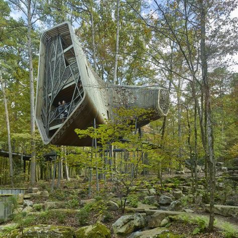 World Architecture Festival 2019 Shortlist: 16 Stand-out Buildings - Visi Garvan Woodland Gardens, Architecture Art Nouveau, Architecture Cool, Woodland Gardens, World Architecture Festival, Tree House Diy, Outdoor Toilet, Tree House Designs, Tree Canopy