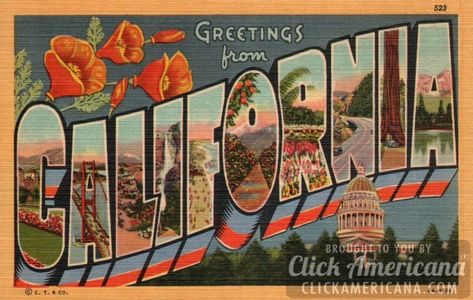 Greetings from California vintage postcards Postcards Inspiration, Postcard Display, California Postcard, Places In California, Redwood Tree, Vintage California, California Poppy, Frame Matting, Large Letters