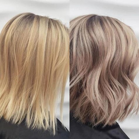 How to Tone Yellow Hair to Perfection | Wella Professionals Wella Professional Color, Hair Before And After Toner, Toner For Yellow Hair, Before And After Toner, Tone Yellow Hair, Tone Orange Hair, Wella Colour Touch, Toning Blonde Hair, Beige Blonde Hair Color