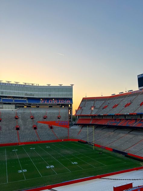 Rush Aesthetic, College Goals, Florida Football, Florida Gators Football, College Aesthetic, Dream College, Dream School, College Experience, New Year New Me