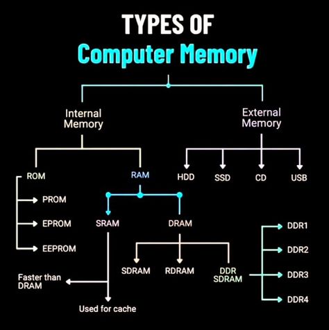 Types Of Computer, Computer Memory Types, About Computer, 6th Grade Science, Computer Knowledge, Computer Memory, Good Vocabulary Words, Good Vocabulary, Skills To Learn