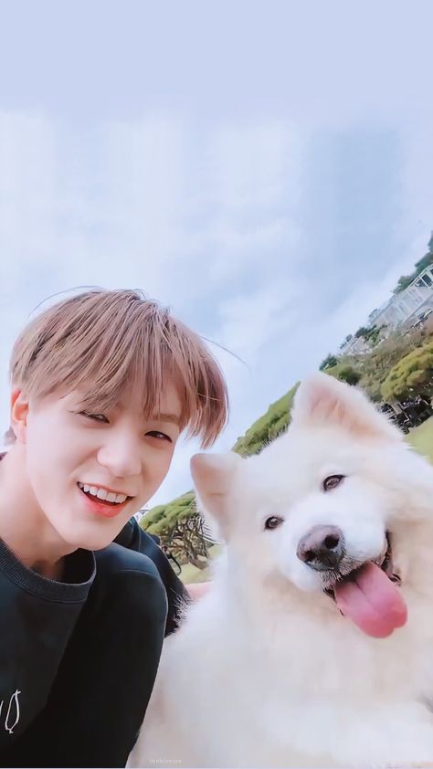 Wayv Pets, Jeno And Samoyed, Woman With Dog, Hong Bao, Highway To Heaven, Naruto Wallpaper Iphone, Samoyed Dogs, Naruto Wallpaper, Ulzzang Boy