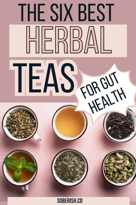 Discover the best herbal teas for gut health! Dive into our latest article to learn how teas for gut health can aid digestion and promote overall wellness. Uncover the power of herbs for gut health and find your new favorite gut healing tea. Perfect for women in their 30s and 40s looking to boost their digestive health naturally. Best Tea For Digestive Issues, Tea For Digestive Health, Gut Healing Tea, Herbs For Bloat, Digestive Tea Recipe, Natural Gut Health, Herbal Tea For Gut Health, Teas For Gut Health, Gut Healing Tea Recipe