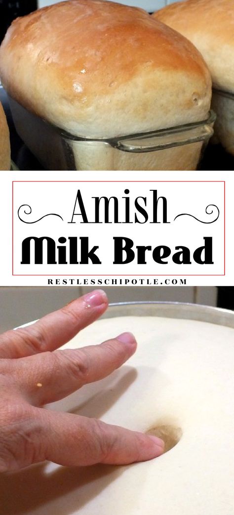 A collage of images: Finished loaves of soft Amish white bread on top, bread dough rising on the bottom.  Title text overlay. Amish Milk Bread, Fluffy White Bread Recipe, Amish White Bread Recipe, Savory Rolls, Amish Bread Recipes, Recipe Using Milk, Easy White Bread Recipe, Beginners Bread Recipe, Amish White Bread