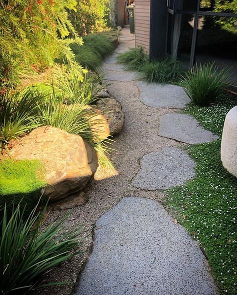 Small Backyard Garden Design, Australian Garden Design, Lawn Alternatives, Australian Native Garden, Garden Paving, Australian Garden, Small Backyard Gardens, Garden Steps, Mediterranean Garden