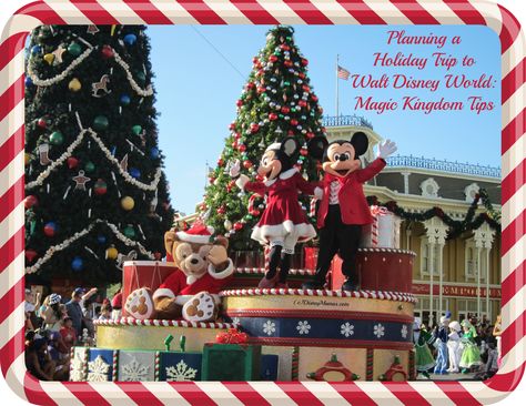 Tips for Touring Magic Kingdom During the Holidays #holidays #waltdisneyworld #magickingdom @Colleen Egan Disney World Best Christmas Light Displays, Surviving Christmas, Disney Christmas Decorations, Walt Disney World Orlando, Duffy The Disney Bear, Disney Tourist Blog, Disney World Christmas, Best Christmas Lights, Very Merry Christmas Party