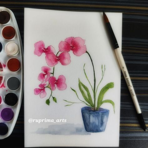 This botanical artwork is done on A5 300 gsm cold pressed medium surface acid free of archival quality paper. Watercolour Orchid, Orchid In Pot, Watercolor Orchid, Orchid Painting, Orchids Painting, Colour Painting, Color Pencil Drawing, Water Colour, Pencil Drawings