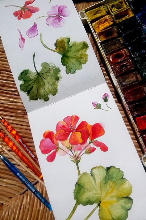 Watercolor floral seamless pattern with pelargonium. on Behance Watercolor Sketching, Art Tutorials Watercolor, Watercolor Paintings For Beginners, Money Makers, Diy Watercolor Painting, Watercolour Inspiration, Watercolor Projects, Floral Seamless Pattern, Watercolor Flower Art