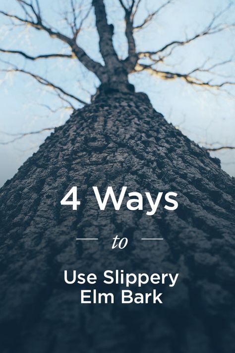 How To Use Slippery Elm Powder, Slippery Elm Bark Benefits Women, Slippery Elm Recipes, Slippery Elm Bark Benefits, Slippery Elm Benefits Women, Herbalism 101, Slippery Elm Benefits, Herbalist Recipes, Slippery Elm Powder