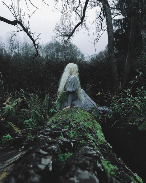 Fantasy Magic Aesthetic, Fantasy Magic, Dark Fairytale, Dark Cottagecore, Fantasy Photography, Southern Gothic, Green Witch, Witch Aesthetic, Witchy Vibes