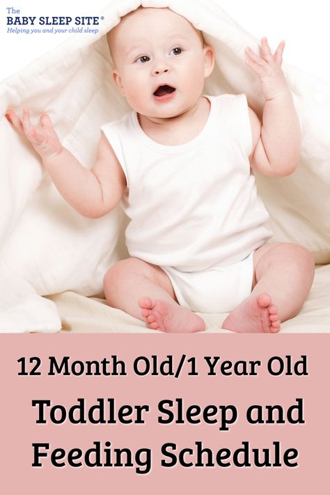 This article outlines the average 12-month-old / 1-year-old toddler schedule, including feedings, solids, naps and night sleep. #toddlers #babysleep #babyschedule #parenting 12 Month Old Schedule, Toddler Sleep Regression, Newborn Sleep Schedule, Sleep Training Methods, Baby Feeding Schedule, Toddler Schedule, Baby Schedule, Baby Sleep Schedule, Baby Nap